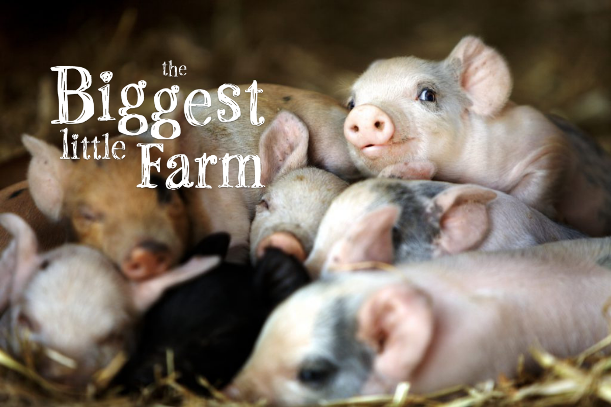 Filmtip: The Biggest Little Farm