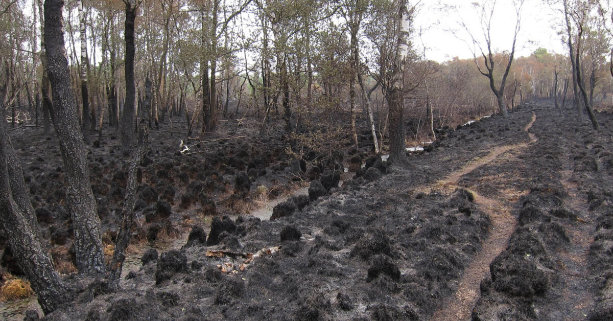 Vernatting nodig om natuurbranden in Deurnese Peel te voorkomen