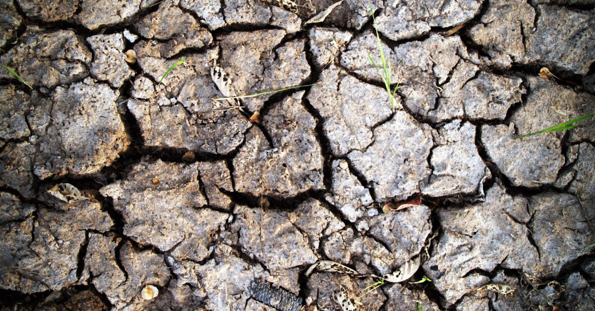 Brabantse natuurorganisaties bieden waterschappen oplossingen voor droogtecrisis