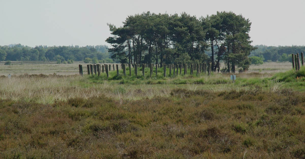 Grondwater | BMF en BL kritisch op uitbreiding grondwateronttrekking nabij Regte Heide