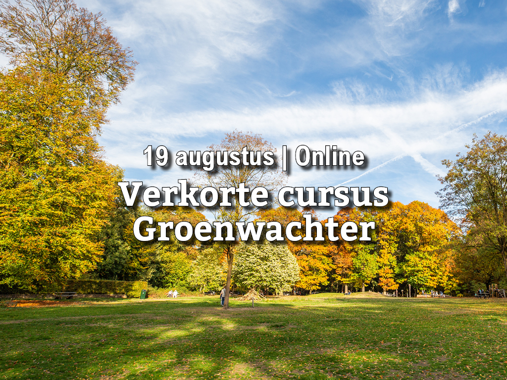 19 aug | Verkorte cursus Groenwachter (online)