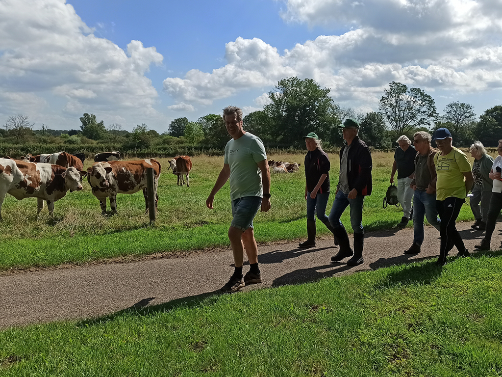 Terugblik bezoek aan boer Eric: biologisch melkveehouder en landschapsbeheerder in de Maasheggen