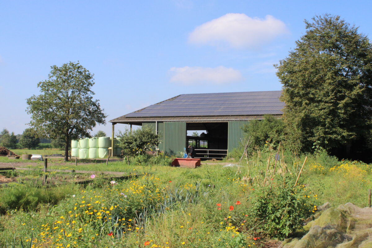 Handen uit de mouwen voor biodiversiteit op bioboerderij ‘t Schop