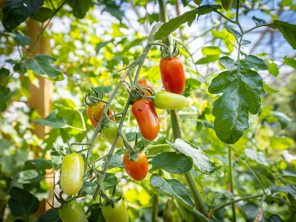 Kies voor gezonde Brabanders, gezonde natuur en gezonde landbouw