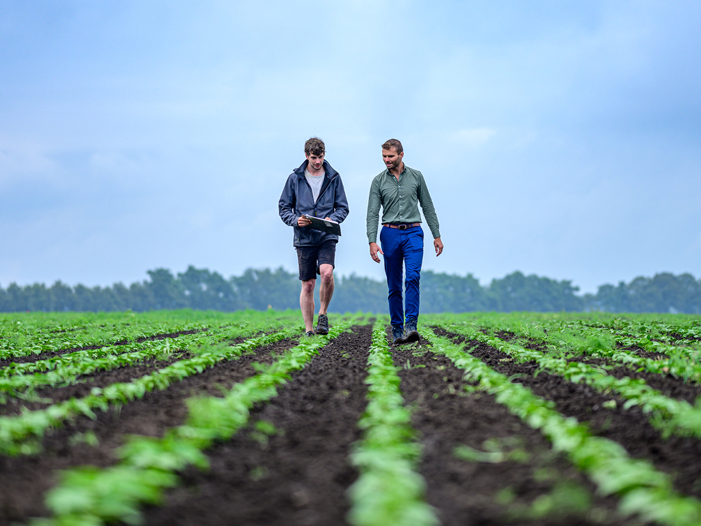 Brabants Bodem: Bouwen aan natuurinclusieve landbouw